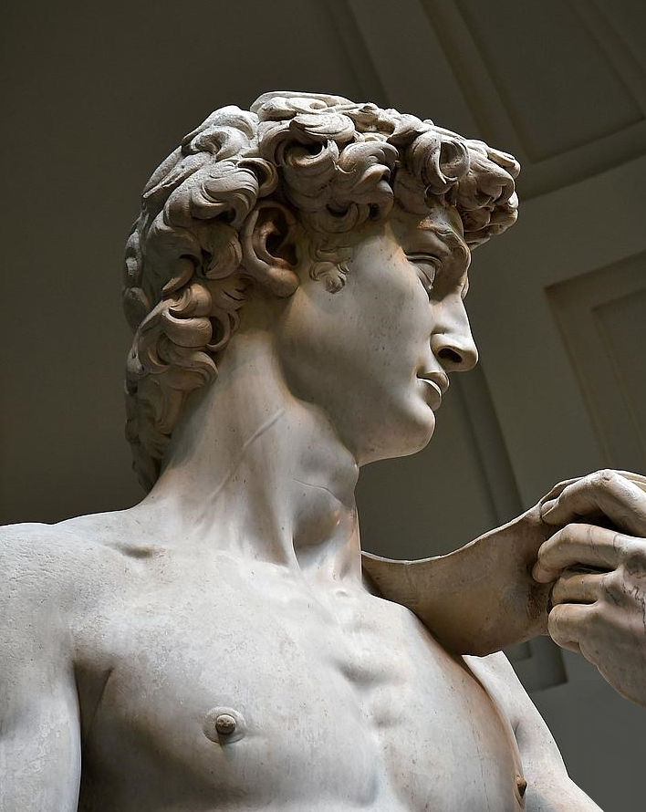 david michelangelo4