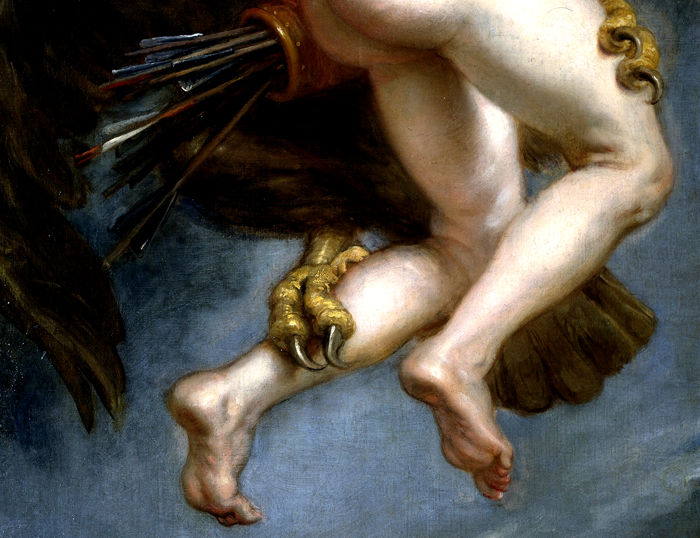 ganimedes rubens2