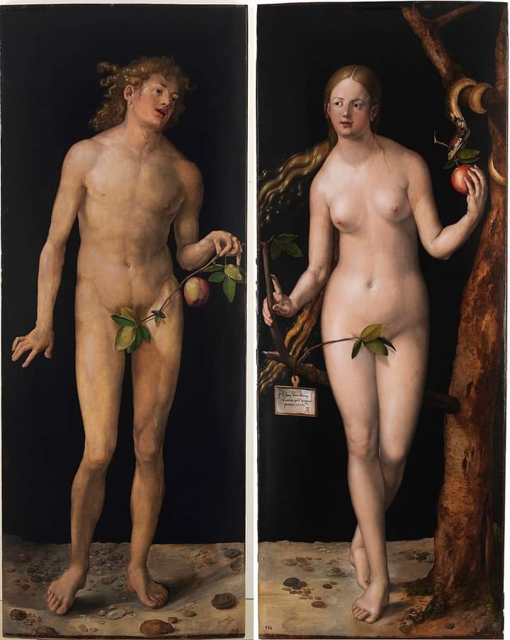 la manzana adam eva durero