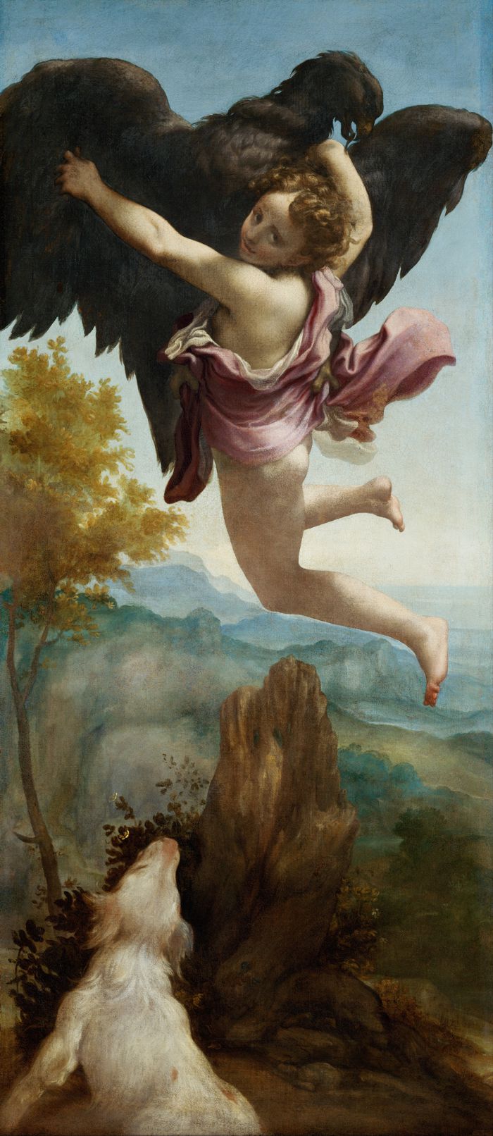 rapto de ganimedes correggio5